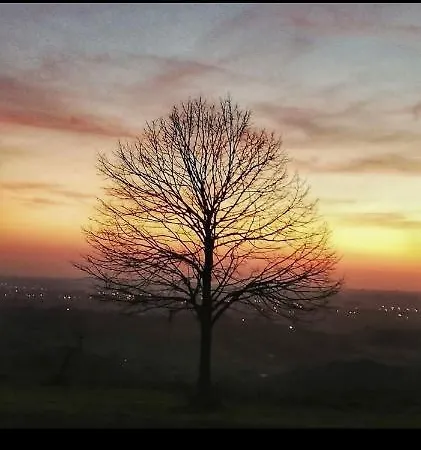 La Stanza Nel Parco